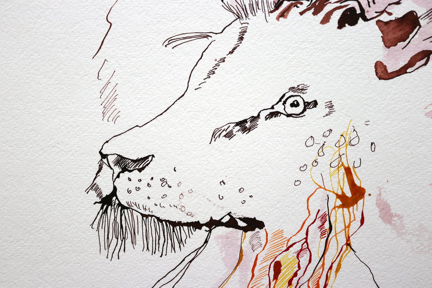 Element Feuer – Die Tierkreiszeichen Widder , Löwe und Schütze, 2012