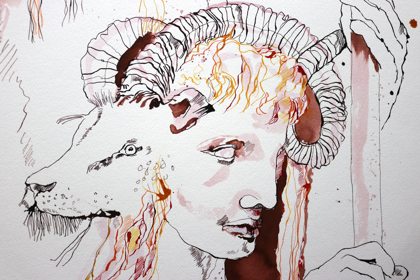 Element Feuer – Die Tierkreiszeichen Widder , Löwe und Schütze, 2012