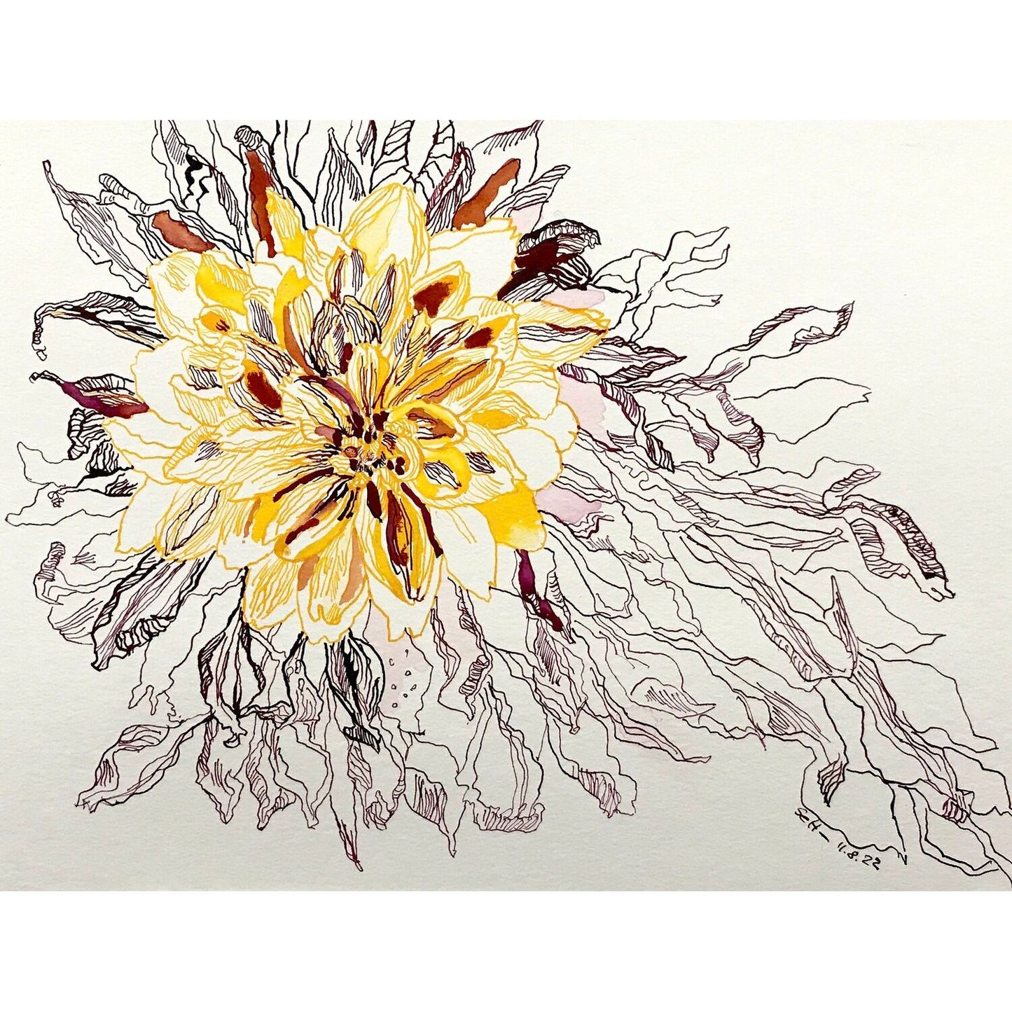 Wilting Dahlia in yellow, 2022