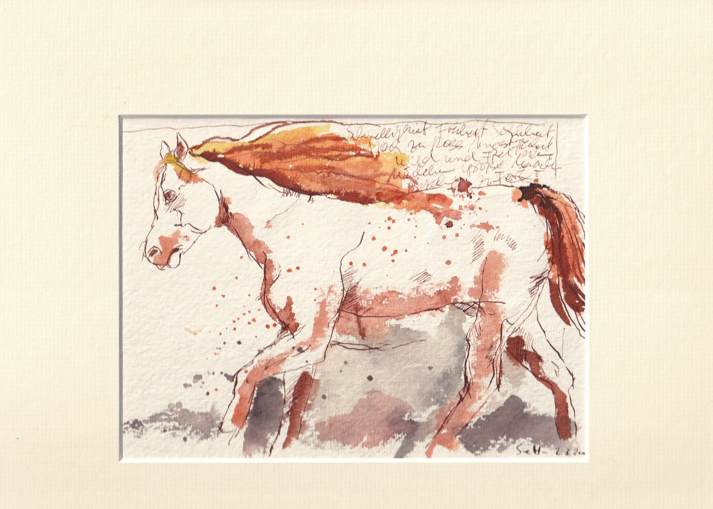 Horse galloping, 2007