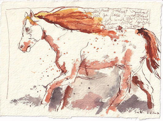 Horse galloping, 2007