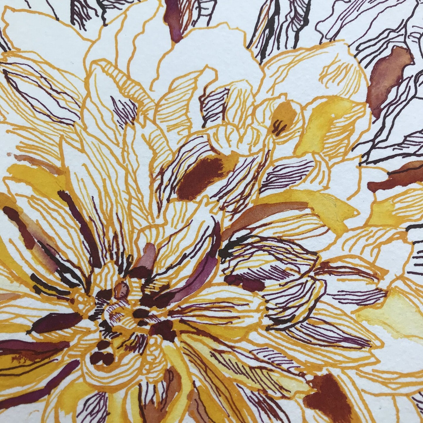 Wilting Dahlia in yellow, 2022